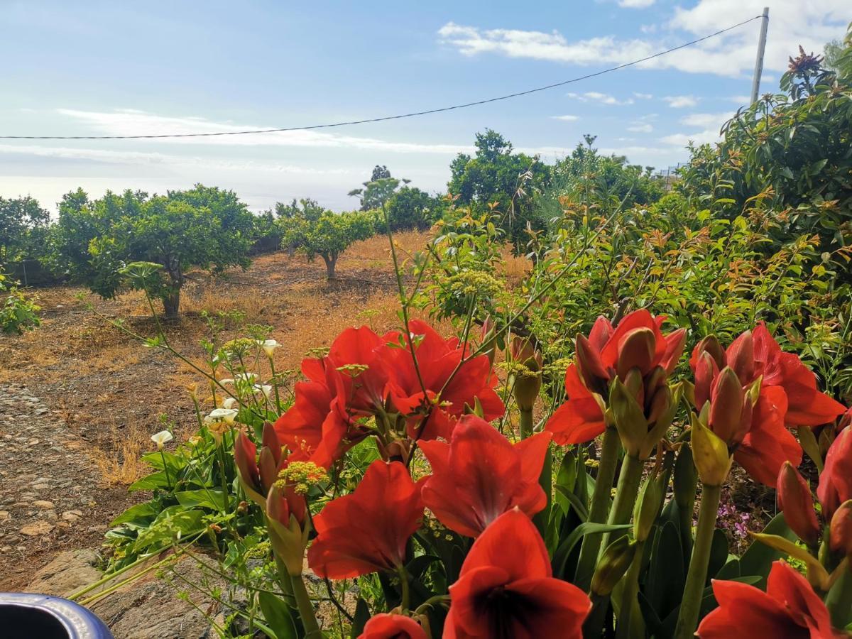 CASA RURAL DOLORES con PISCINA Y VISTAS A LA GOMERA Costa Adeje  Exterior foto