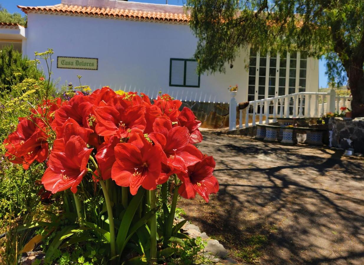 CASA RURAL DOLORES con PISCINA Y VISTAS A LA GOMERA Costa Adeje  Exterior foto