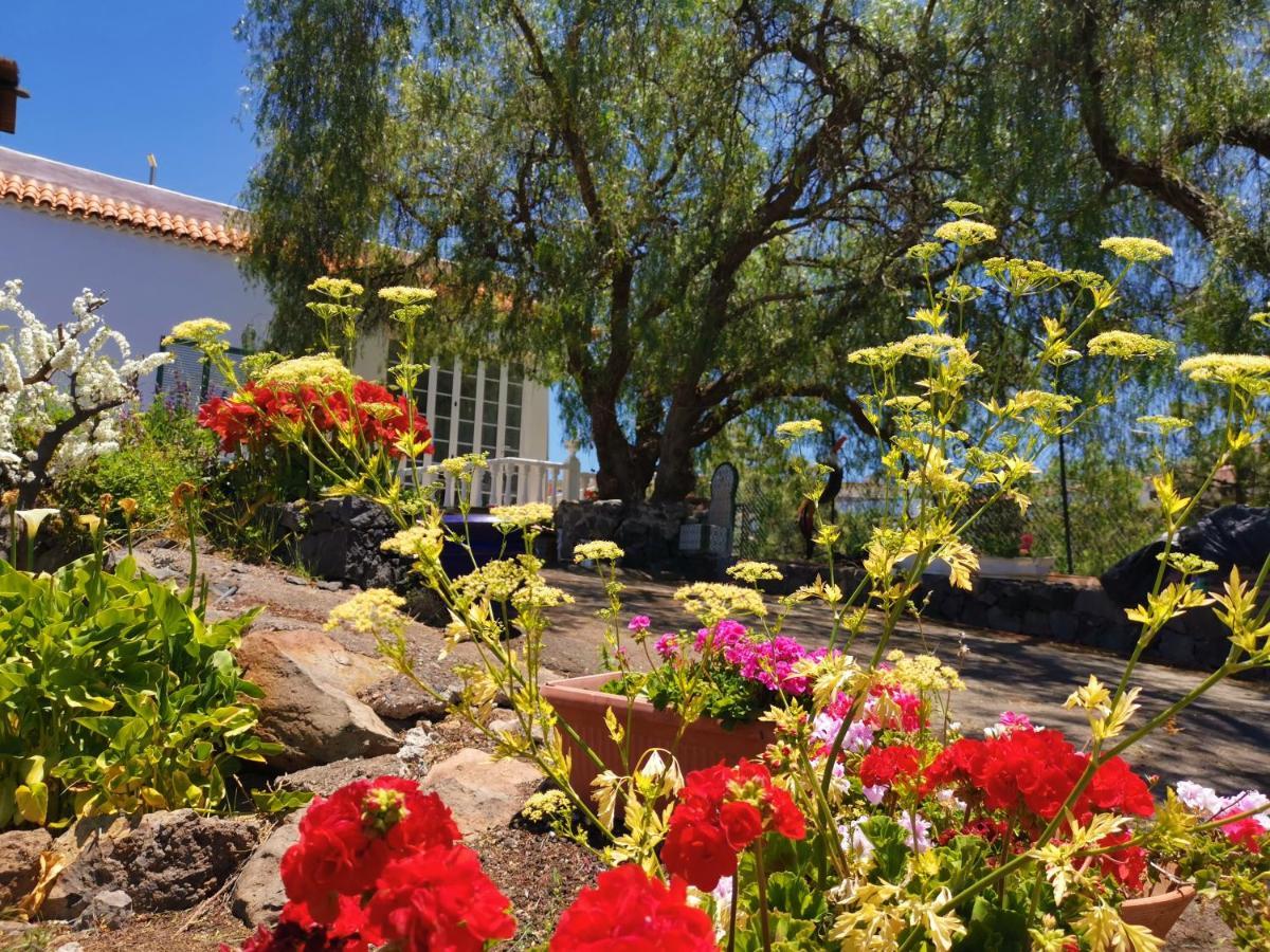 CASA RURAL DOLORES con PISCINA Y VISTAS A LA GOMERA Costa Adeje  Exterior foto
